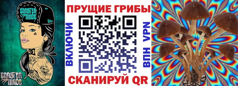 omg рабочий сайт  Спас-Клепики  Псилоцибиновые грибы прущие грибы  хочу  